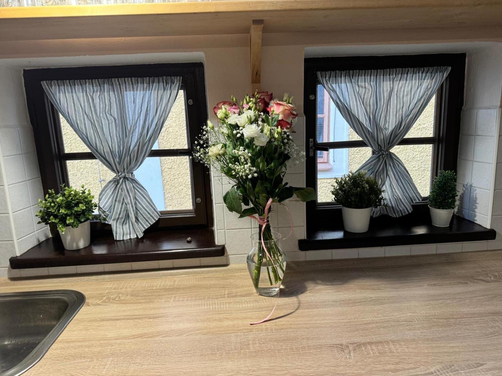 Apartman U Zamku Jindřichův Hradec Buitenkant foto